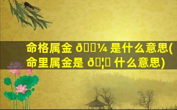 命格属金 🌼 是什么意思(命里属金是 🦟 什么意思)